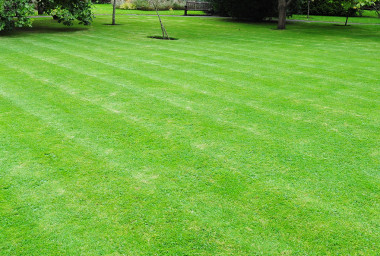 pic-landscaping